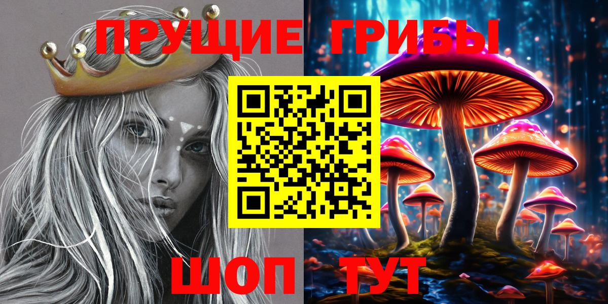 Абинск  Псилоцибиновые грибы Psilocybine cubensis  где купить наркоту  Вход с VPN  Псилоцибиновые грибы GOLDEN TEACHER 