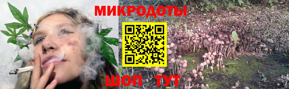Галлюциногенные грибы мицелий Абинск